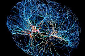 Neuroplastisuus ja peiliterapia